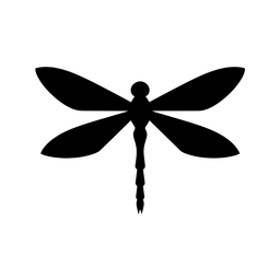 SafeFlow